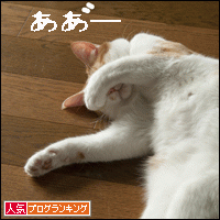 人気ブログランキングへ